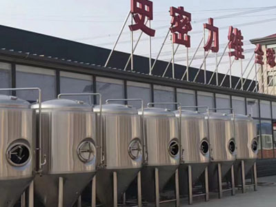 贵定精酿啤酒设备厂—市场规模与跨界新需求